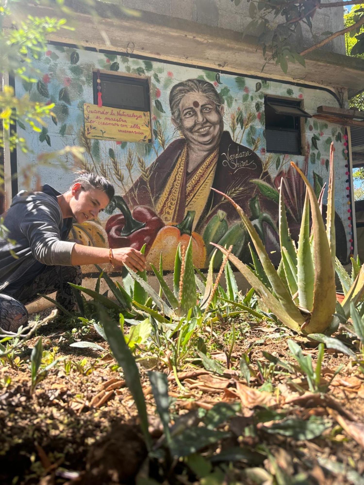 San Cristóbal de Las Casas Historika Hostel Cultural מראה חיצוני תמונה