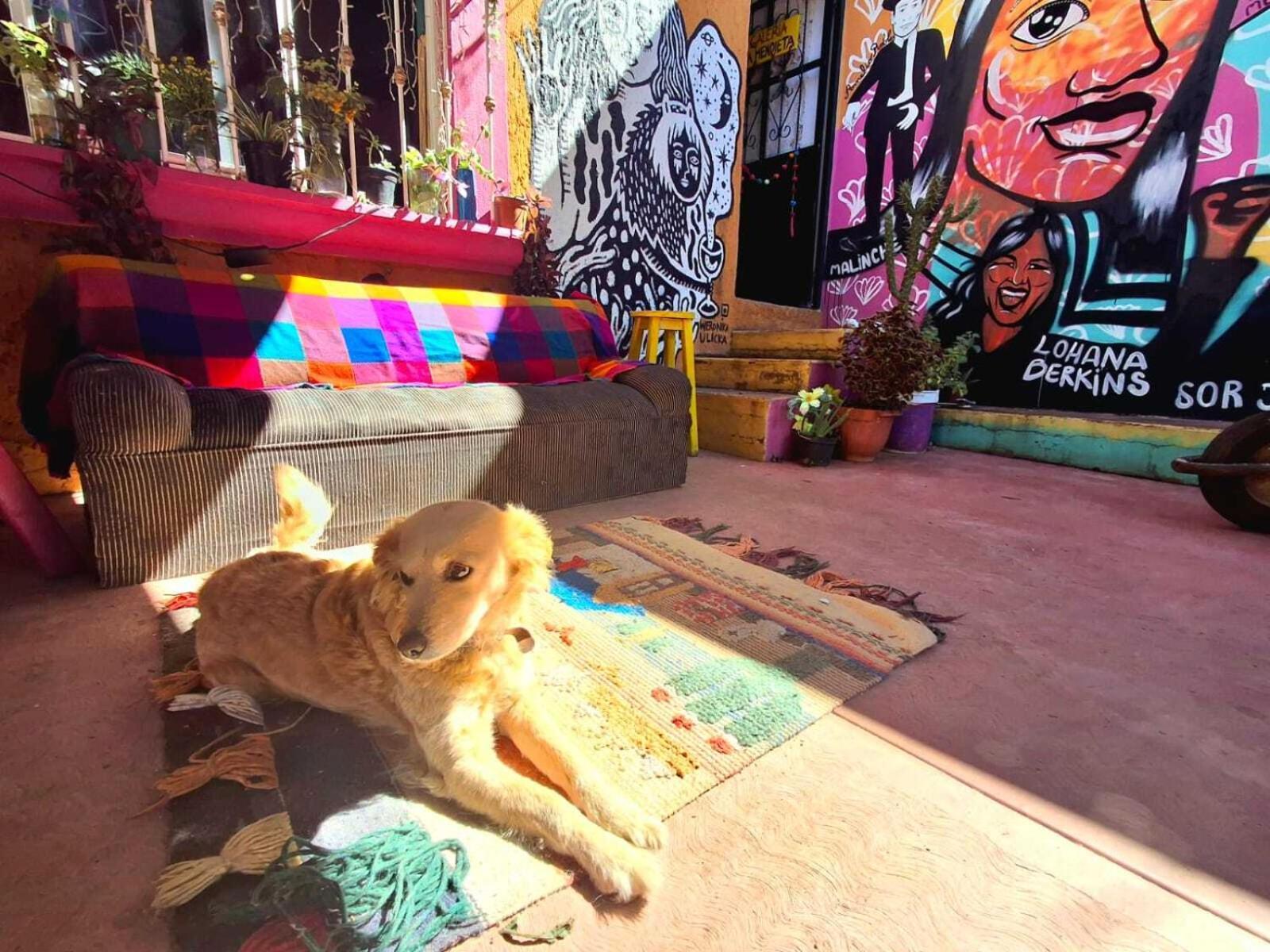 San Cristóbal de Las Casas Historika Hostel Cultural מראה חיצוני תמונה